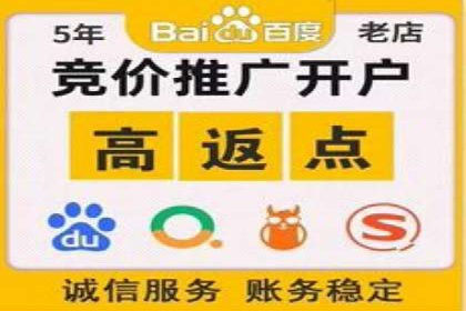 百度竞价广告投放策略：案例分析及优化建议
